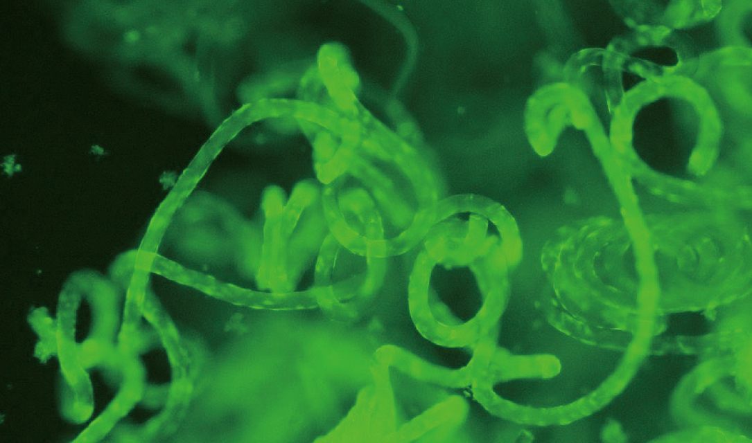 サステナブルな素材を提供する