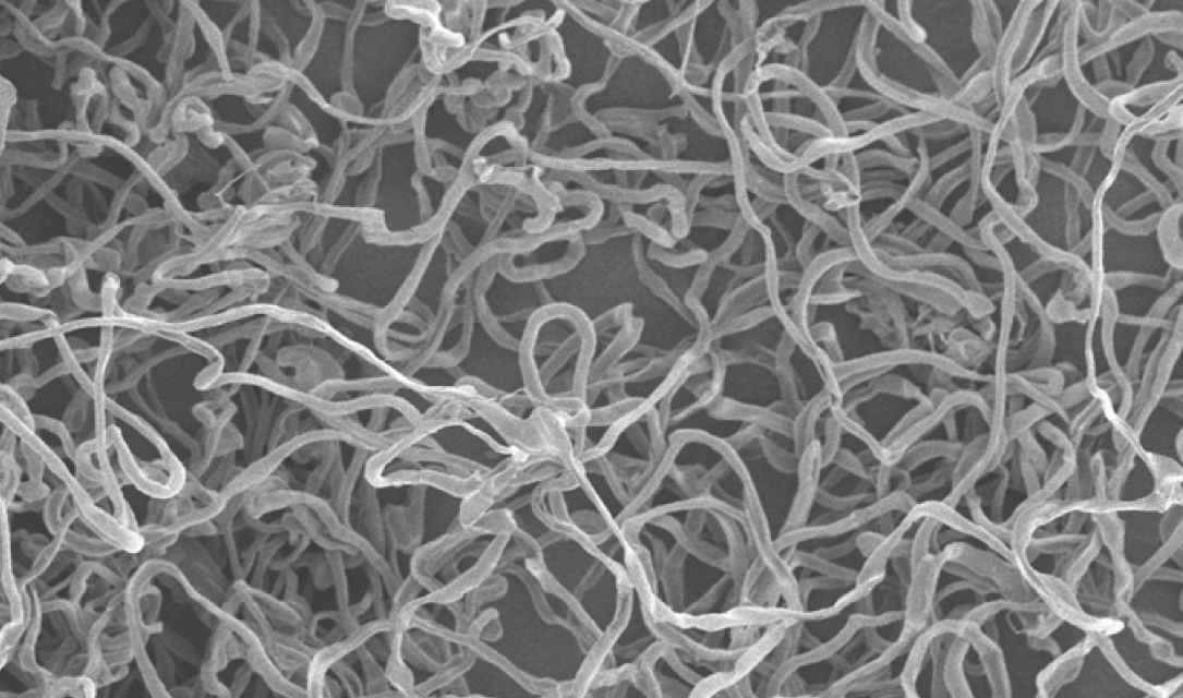 高配向化により機能を高める